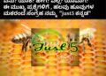 ಮೀಡಿಯಾ