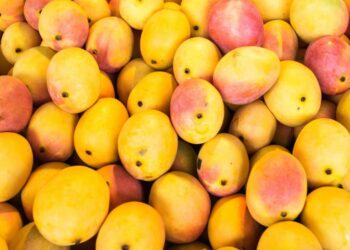 Mango Market: ಹಿಂದೂಗಳ ಬಳಿ ಹಣ್ಣು ಖರೀಸುವಂತೆ ಅಭಿಯಾನ. ಹಿಜಾಬ್, ಹಲಾಲ್, ಅಜಾನ್ ನಂತ್ರ ಮಾವು ಮಾರುಕಟ್ಟೆಗೆ ಕಾಲಿಟ್ಟ ವಿವಾದ.