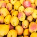 Mango Market: ಹಿಂದೂಗಳ ಬಳಿ ಹಣ್ಣು ಖರೀಸುವಂತೆ ಅಭಿಯಾನ. ಹಿಜಾಬ್, ಹಲಾಲ್, ಅಜಾನ್ ನಂತ್ರ ಮಾವು ಮಾರುಕಟ್ಟೆಗೆ ಕಾಲಿಟ್ಟ ವಿವಾದ.